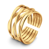 Anello Branch